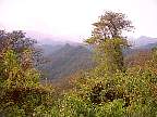 0223-10.jpg