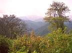 0223-12.jpg
