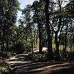 0361-47.jpg