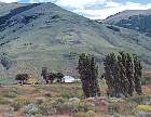 0445-04.jpg