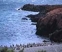 0457-09.jpg