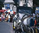 0562-09.jpg