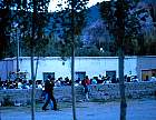 0645-15.jpg