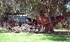 0696-15.jpg