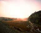 0747-16.jpg