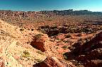 0894-11.jpg