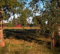 0956-07.jpg