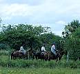 1250-20.jpg