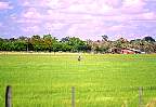 1256-48.jpg