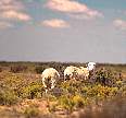 1380-17.jpg