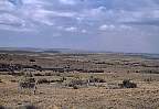 1407-49.jpg