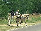 1428-44.jpg