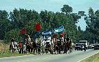 1428-50.jpg