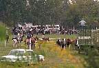 1442-66.jpg