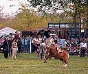 1443-64.jpg