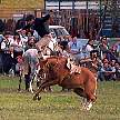 1443-64A.jpg