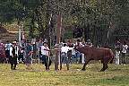 1443-65.jpg