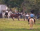 1443-69.jpg