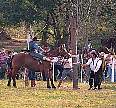1444-43A.jpg