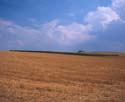 1495-46.jpg