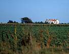 1565-51.jpg