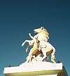 1578-46.jpg