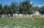 1584-68.jpg