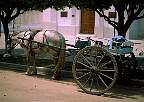 1664-49.jpg