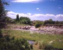 1705-51.jpg