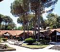 1978-68.jpg