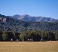 1991-71.jpg