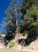 2003-54.jpg
