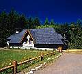 2015-64.jpg