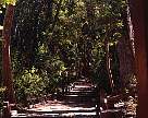 2021-65.jpg