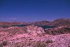 2039-61.jpg