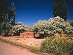 2041-59.jpg