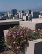 2048-58.jpg