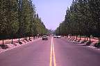 2051-42.jpg