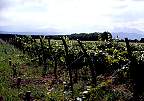 2055-63.jpg