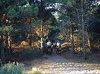 2110-50.jpg