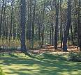 2143-55.jpg