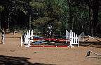 2145-47.jpg
