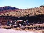 2171-71.jpg