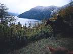 2174-61A.jpg