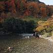 2175-46.jpg