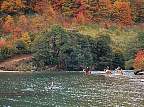 2175-52.jpg