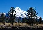 2177-59.jpg