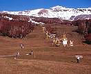 2178-44.jpg