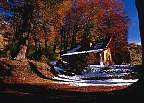 2178-51A.jpg