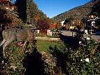 2178-57.jpg